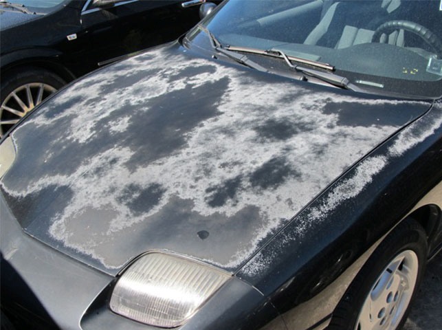 car paint oxidation. faded and oxidized car paint. These photos show the result of applying L'Oxide Oxide Reducing Emulsion to the hood of a black Pontiac Sunfire suffering from severe clear coat failure and peeling.