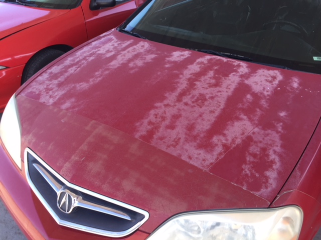 car paint oxidation. faded and oxidized car paint. Photos showing the before and after condition of the oxidized hood on a Honda Acura with faded red color and failing clear coat.